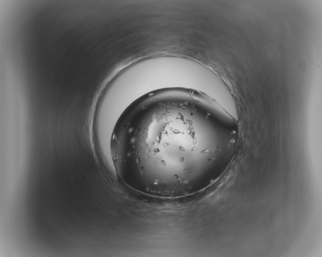 X0000101470196200807281026