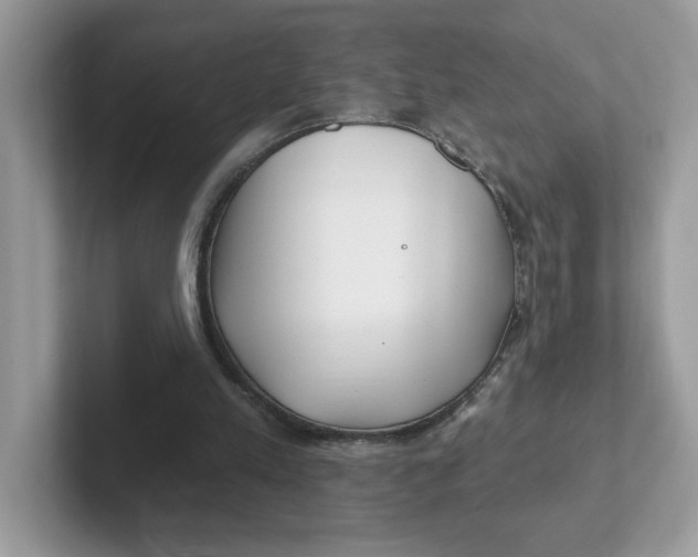 X0000101470197200807281026