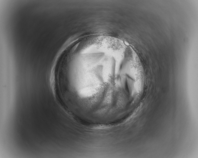 X0000101470198200807281026