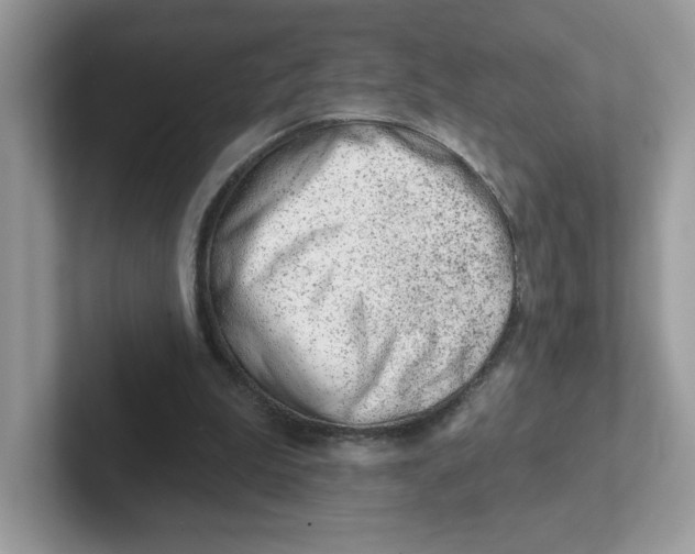 X0000101470199200807281026