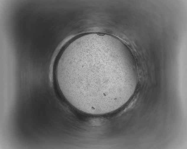 X0000101470200200807281026