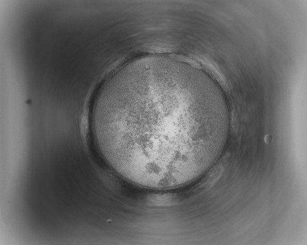 X0000101470202200807281026