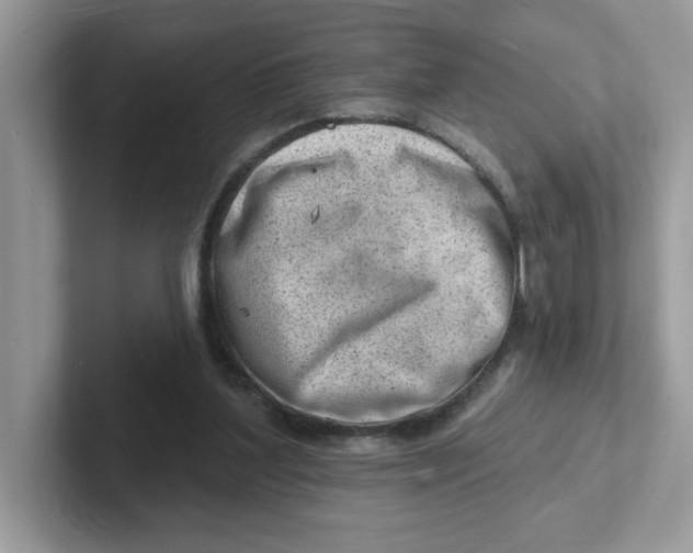 X0000101470204200807281026