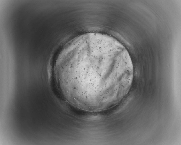 X0000101470206200807281026