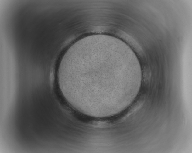 X0000101470208200807281026