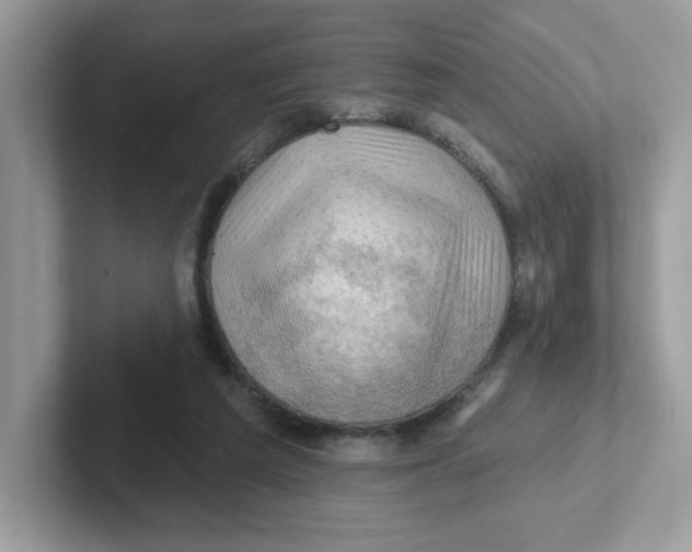 X0000101470209200807281026