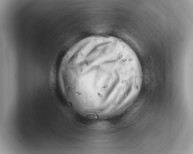 X0000101470210200807281026