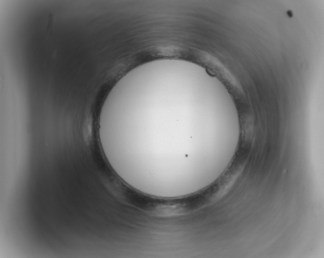 X0000101470213200807281026