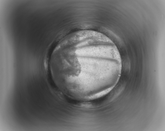 X0000101470214200807281026