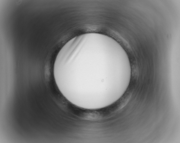 X0000101470215200807281026