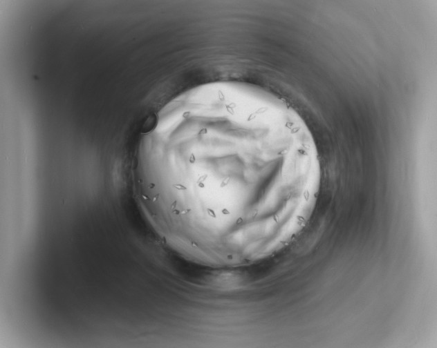 X0000101470218200807281026