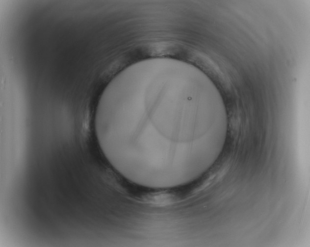 X0000101470219200807281026