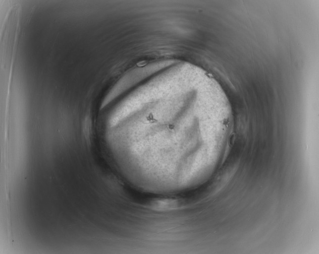 X0000101470220200807281026