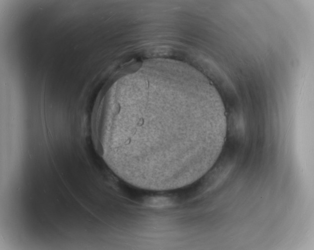 X0000101470224200807281026