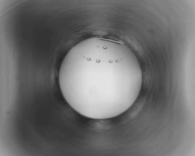 X0000101470229200807281026