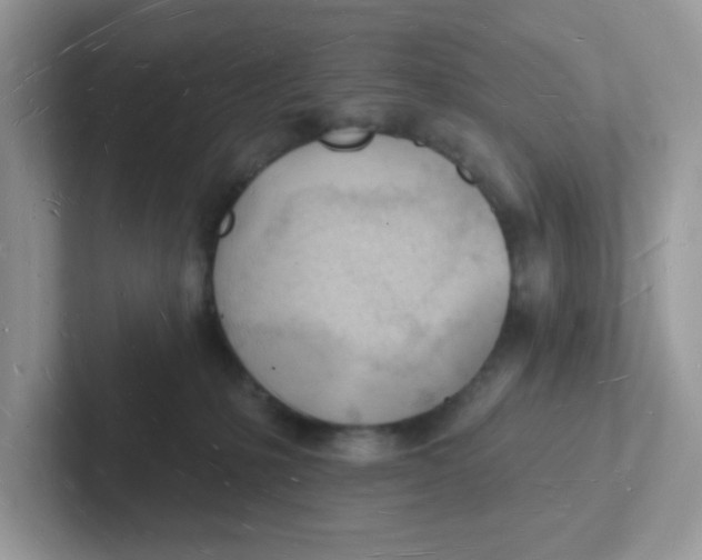 X0000101470231200807281026