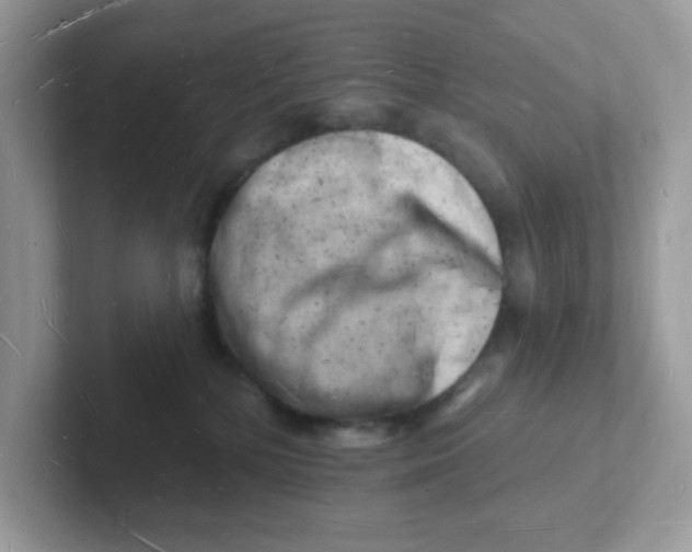 X0000101470232200807281026