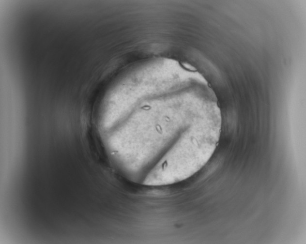 X0000101470236200807281026