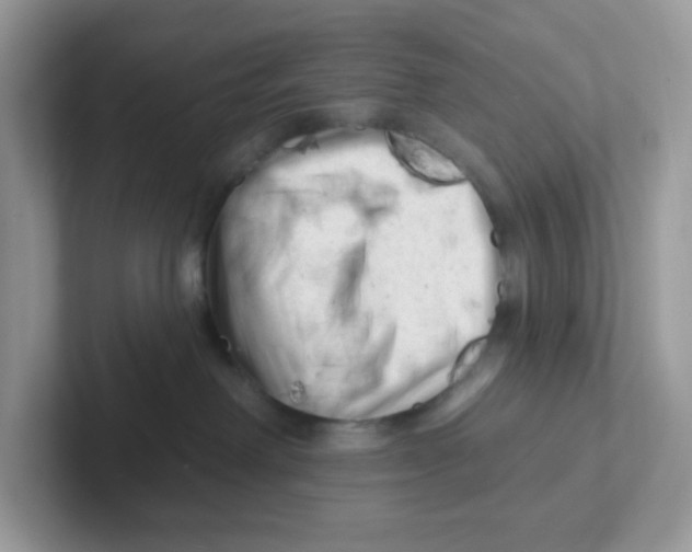 X0000101470238200807281025