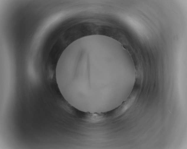 X0000101470239200807281025