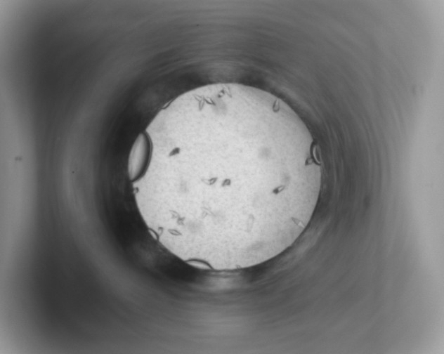 X0000101470240200807281025