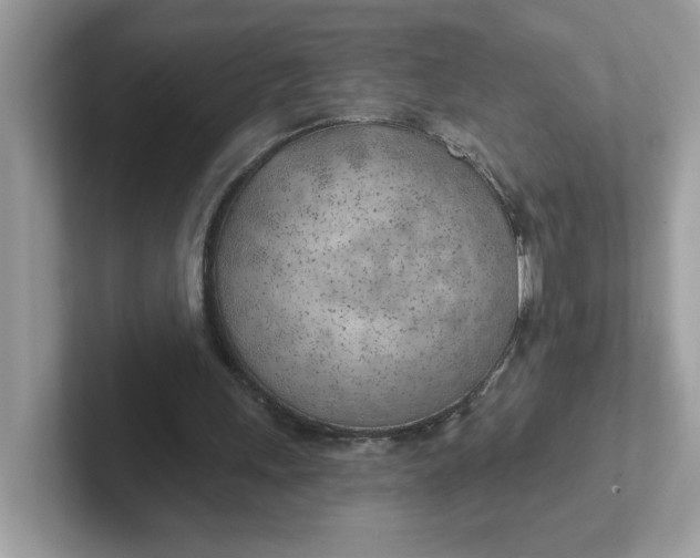 X0000101470243200807281025