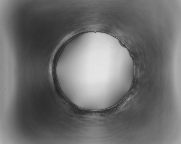 X0000101470244200807281025