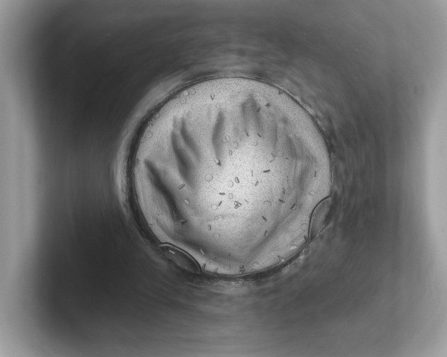 X0000101470245200807281025