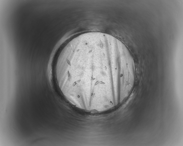 X0000101470246200807281025