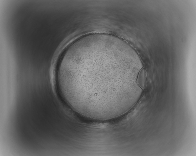 X0000101470247200807281025