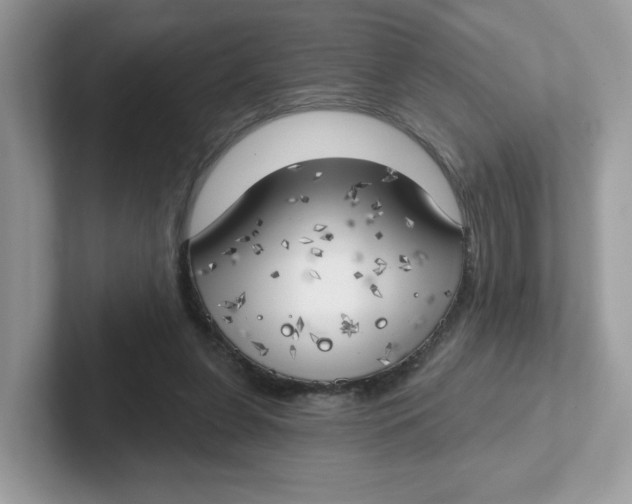 X0000101470255200807281025