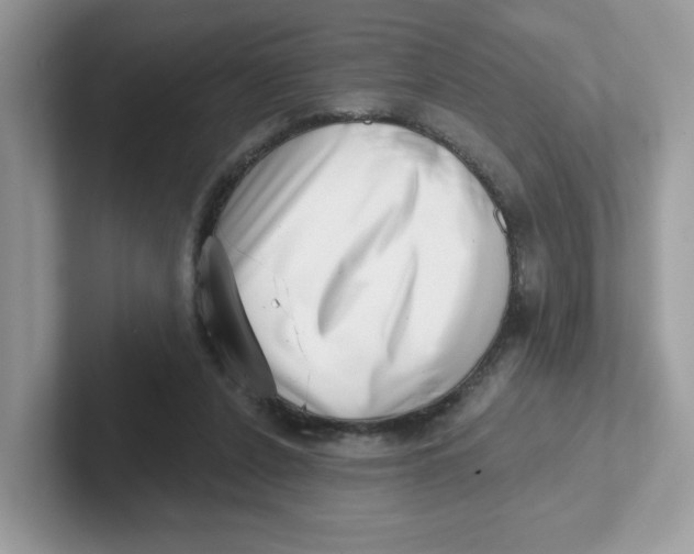 X0000101470256200807281025