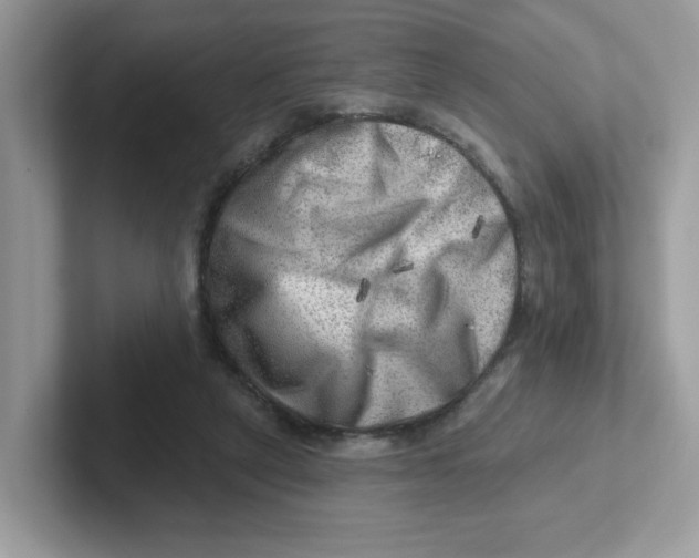 X0000101470257200807281025