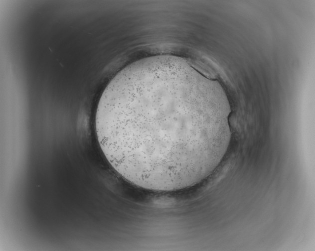 X0000101470258200807281025