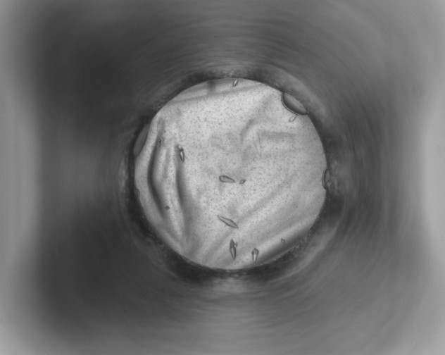 X0000101470259200807281025