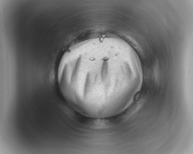 X0000101470261200807281025