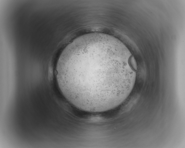 X0000101470262200807281025