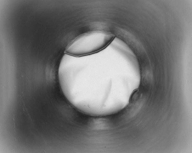 X0000101470268200807281025