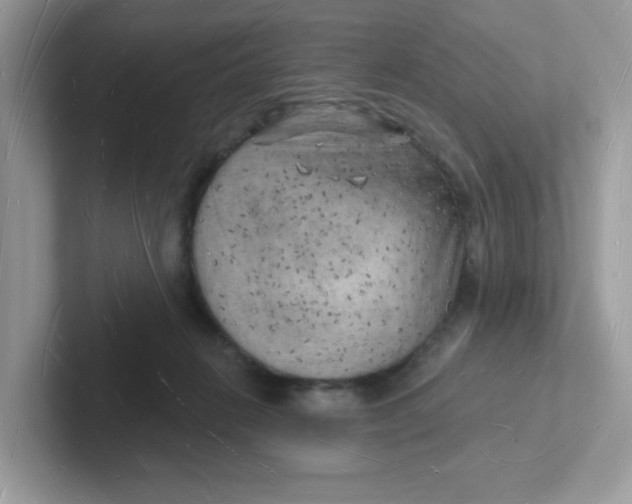 X0000101470270200807281025