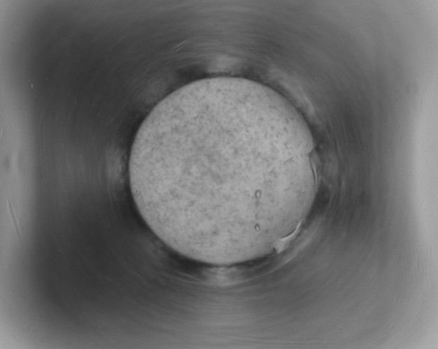 X0000101470273200807281025