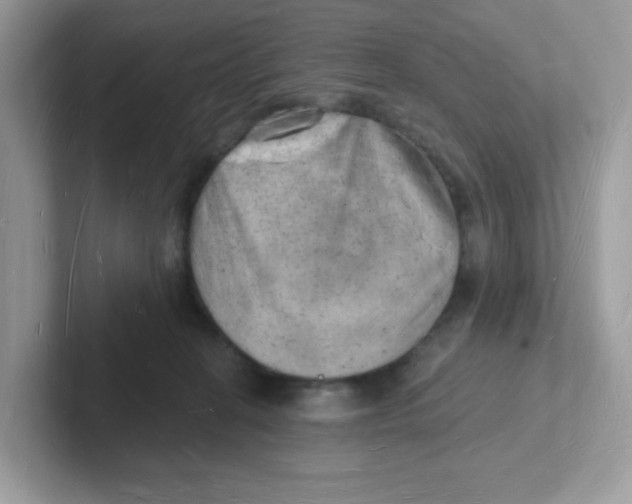 X0000101470274200807281025