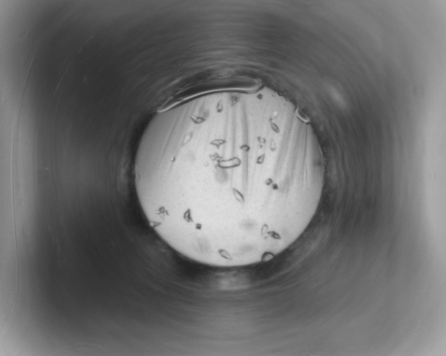 X0000101470275200807281025