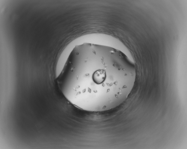 X0000101470276200807281025