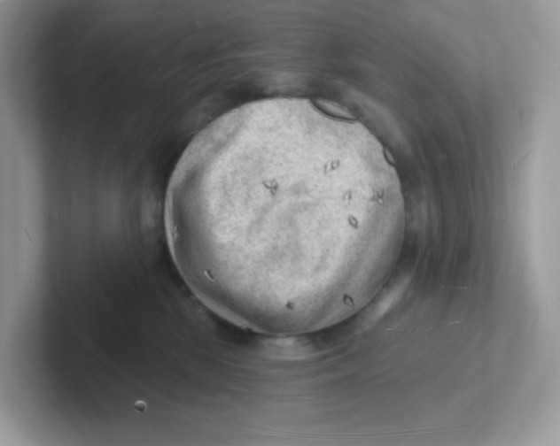 X0000101470281200807281025