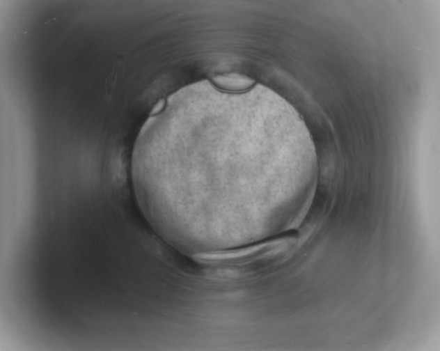 X0000101470282200807281025