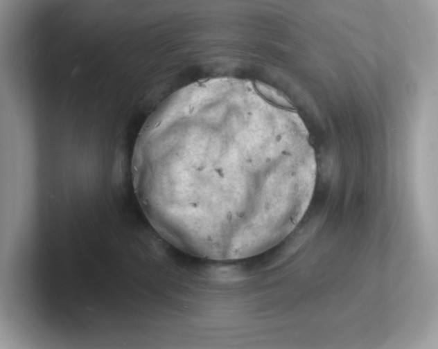 X0000101470283200807281025