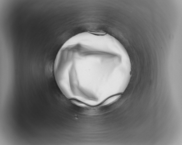 X0000101470288200807281025