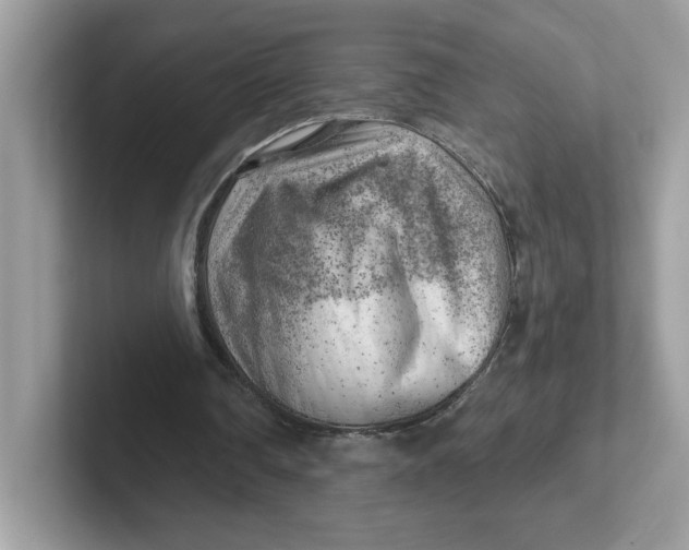 X0000101470290200807281025