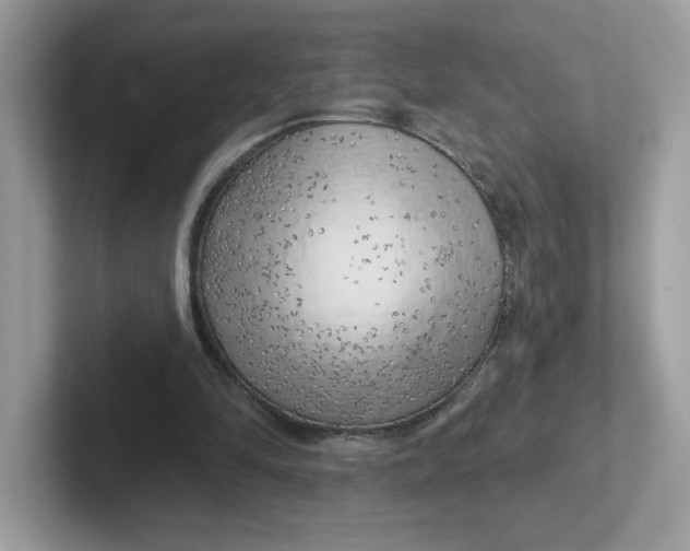 X0000101470294200807281025