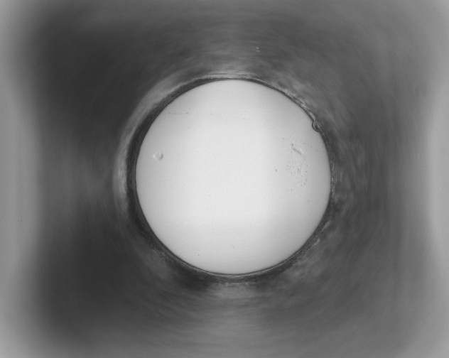 X0000101470296200807281025